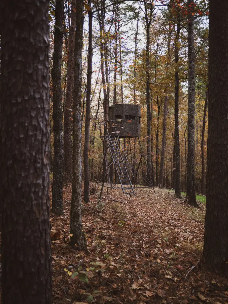 tree house in the woods